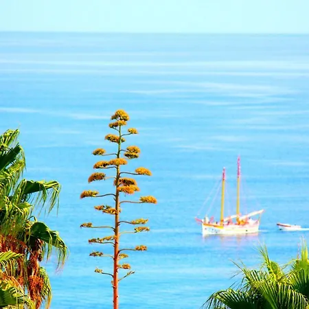 Wow Sea View, 200mts To & 10 Min To Downtown Lejlighed *
